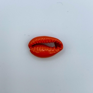 Cowrie 17x10mm Mahogany red per piece